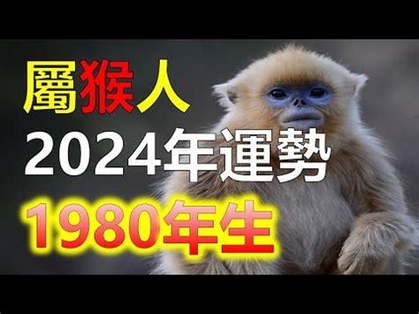 木猴 1980年|【1980 猴 五行】1980屬猴五行缺木！揭秘金猴命運如何、貴人運。